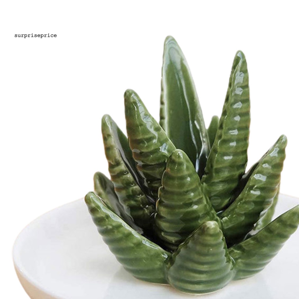 Đĩa Sứ Hình Lô Hội Trưng Bày Trang Sức Vòng Tay Dễ Vệ Sinh