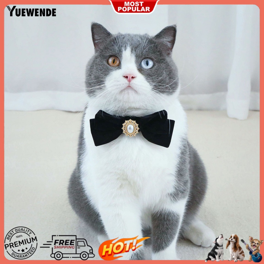 Vòng Cổ Hình Bướm Đính Ngọc Trai Nhân Tạo Có Thể Điều Chỉnh Cho Thú Cưng