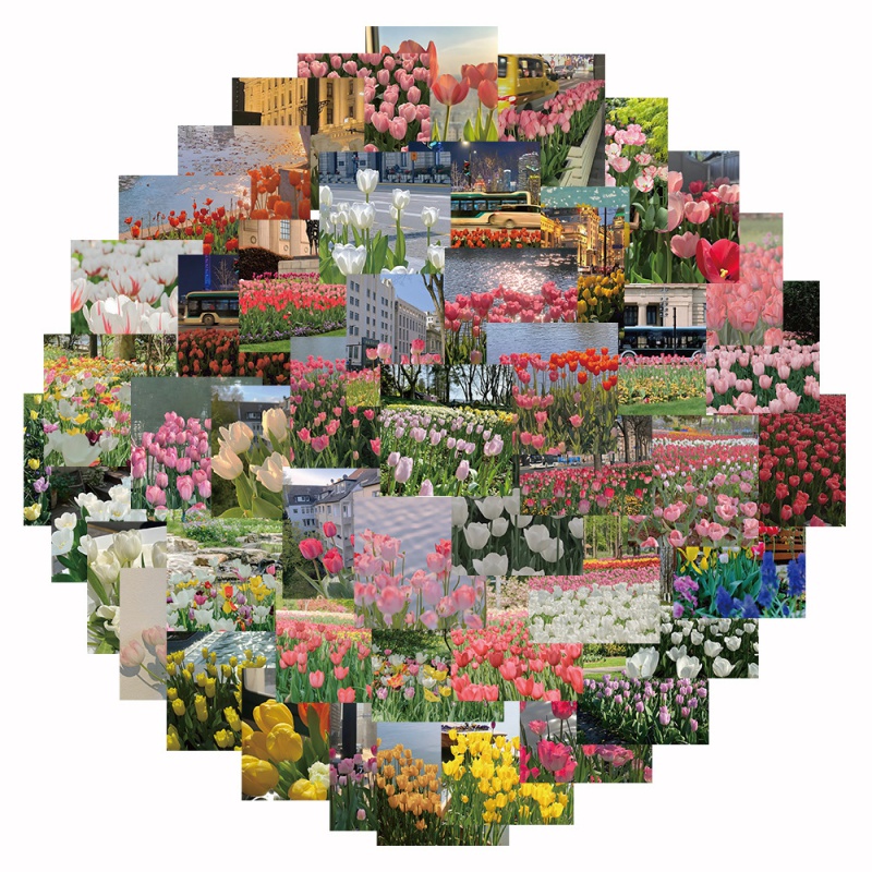 Bộ 63 Miếng Dán Trang Trí Điện Thoại Hình Hoa Tulip Xinh Xắn