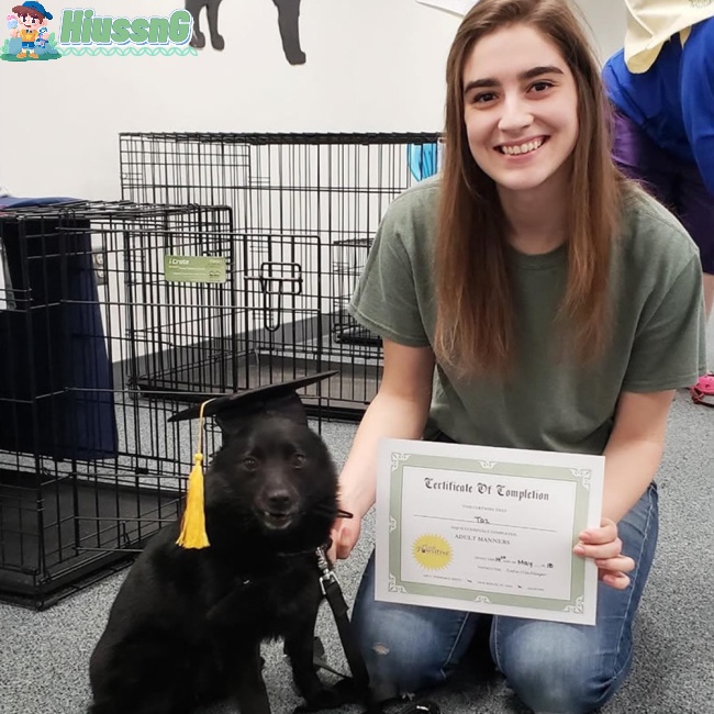 Mũ Tốt Nghiệp Chụp Ảnh Cho Thú Cưng Cỡ Nhỏ / Vừa / Lớn Có Dây Đeo Điều Chỉnh Được