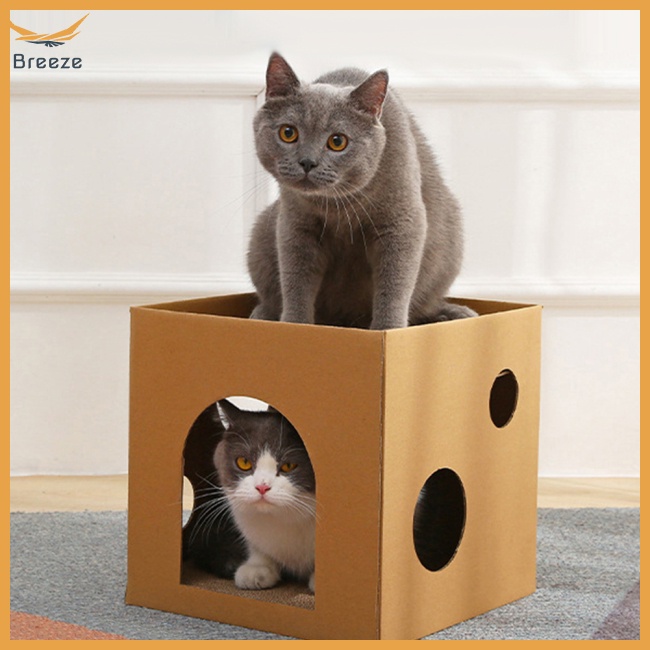 Tấm Bảng Cào Móng Bằng Giấy Chống Mài Mòn Chống Trầy Dành Cho Mèo Cưng