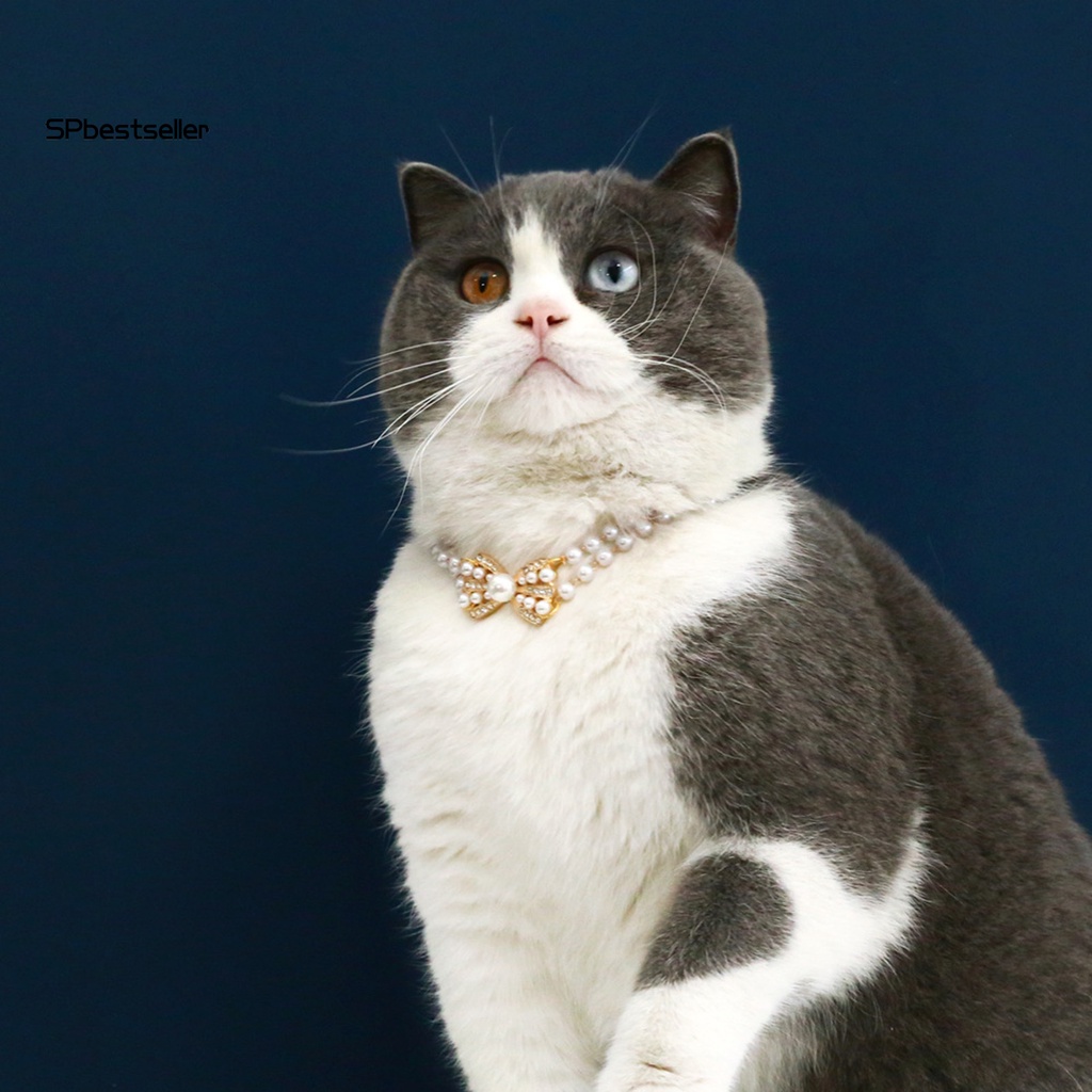 Vòng Cổ Đính Ngọc Trai Nhân Tạo Thời Trang Dành Cho Thú Cưng