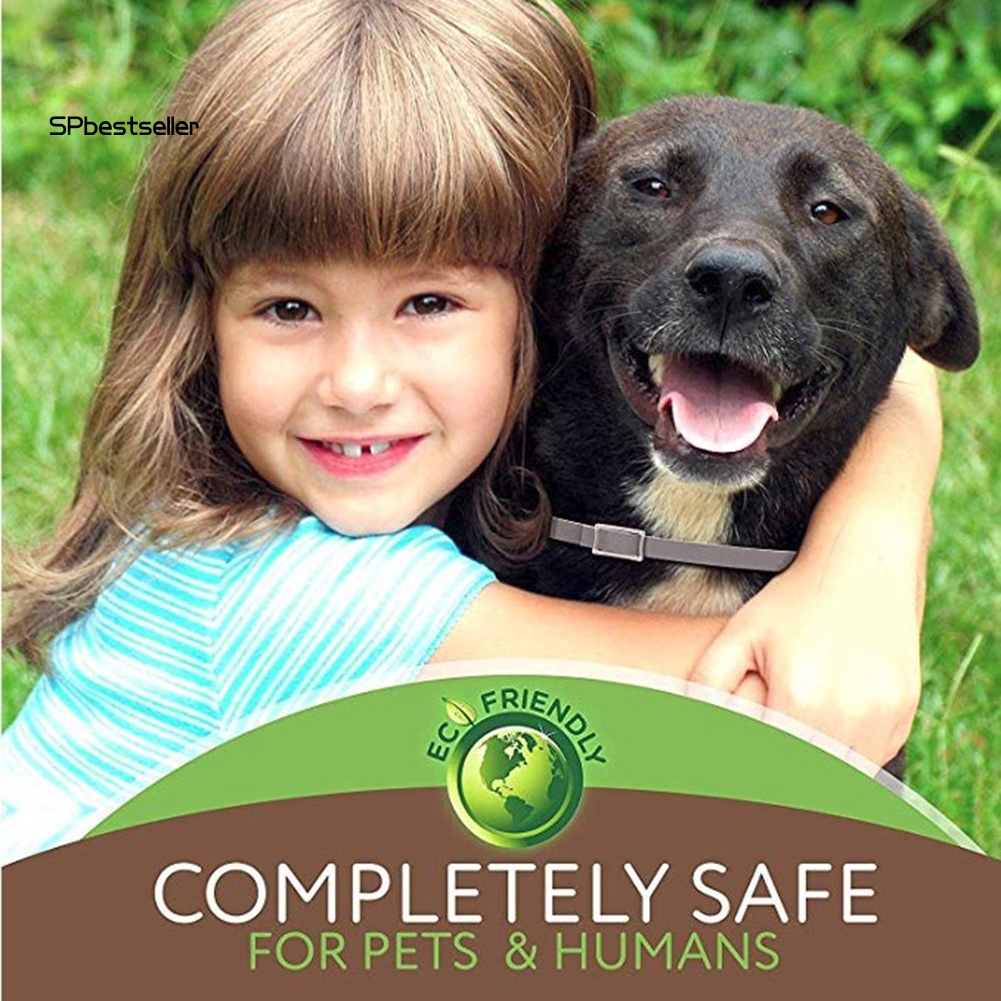 Set 2 Vòng Cổ Chống Bọ Chét / Côn Trùng An Toàn Dành Cho Thú Cưng 8 Tháng Sự Bảo Vệ