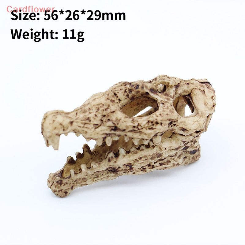 Mô Hình Sọ Cá Sấu Trang Trí Halloween 1: 12 Mới