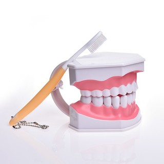 Mô hình hàm răng đồ chơi giáo dục sớm dành cho trẻ