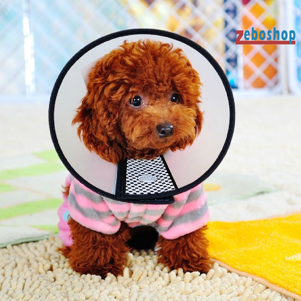 Vòng Cổ Bằng Nhựa Chống Liếm Có Thể Điều Chỉnh Bảo Vệ An Toàn Cho Thú Cưng