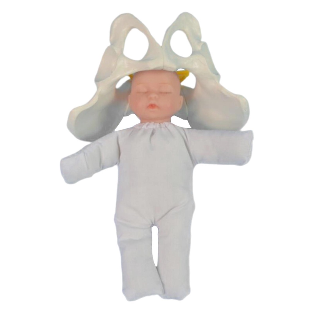 Mô Hình Pelvis Người Dùng Dạy Học Cho Nữ