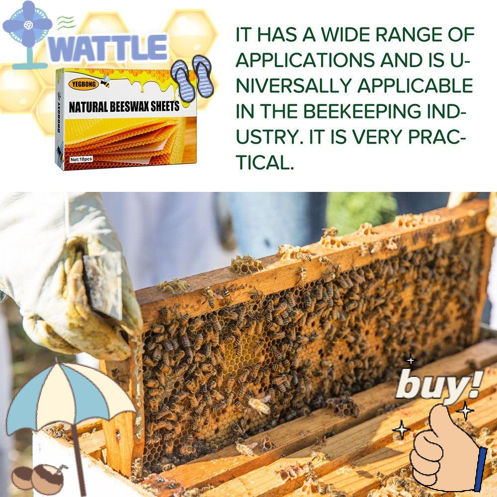 Tấm Sáp Ong Tự Nhiên Dùng Trong Nuôi Ong DIY