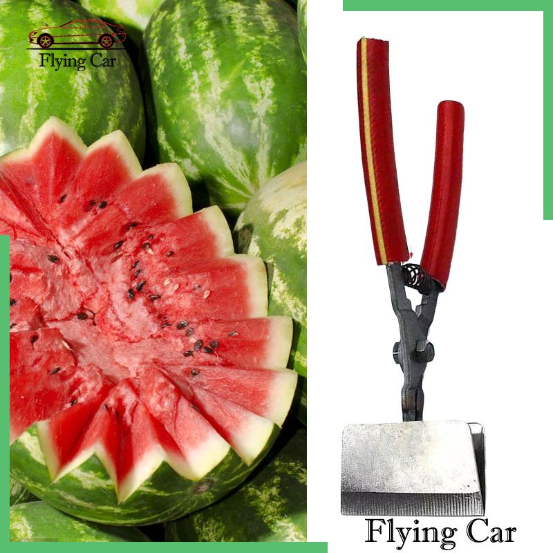 Kìm Kẹp Mở Vỏ Trái Cây Thủ Công Lzdjfmy2 7.87 "