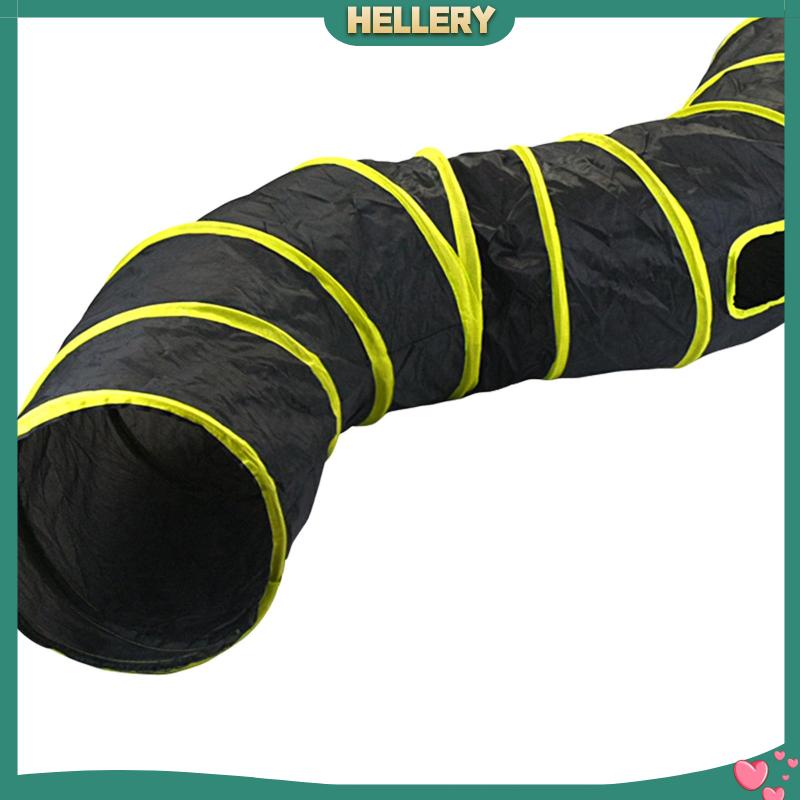 Đồ Chơi Đường Hầm Gấp Gọn Vui Nhộn Cho Mèo Cưng