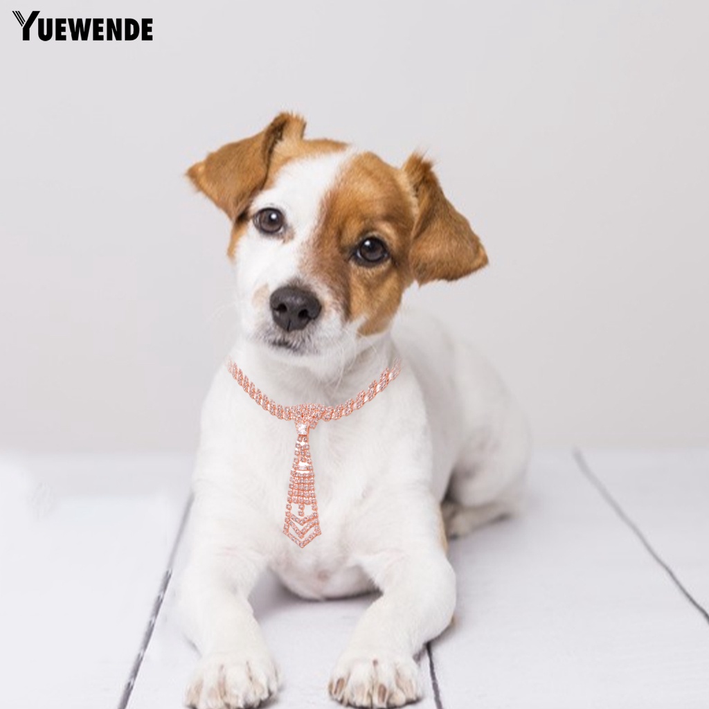 Vòng Cổ Thú Cưng Mặt Sáng Bóng Trang Trí Lễ Hội