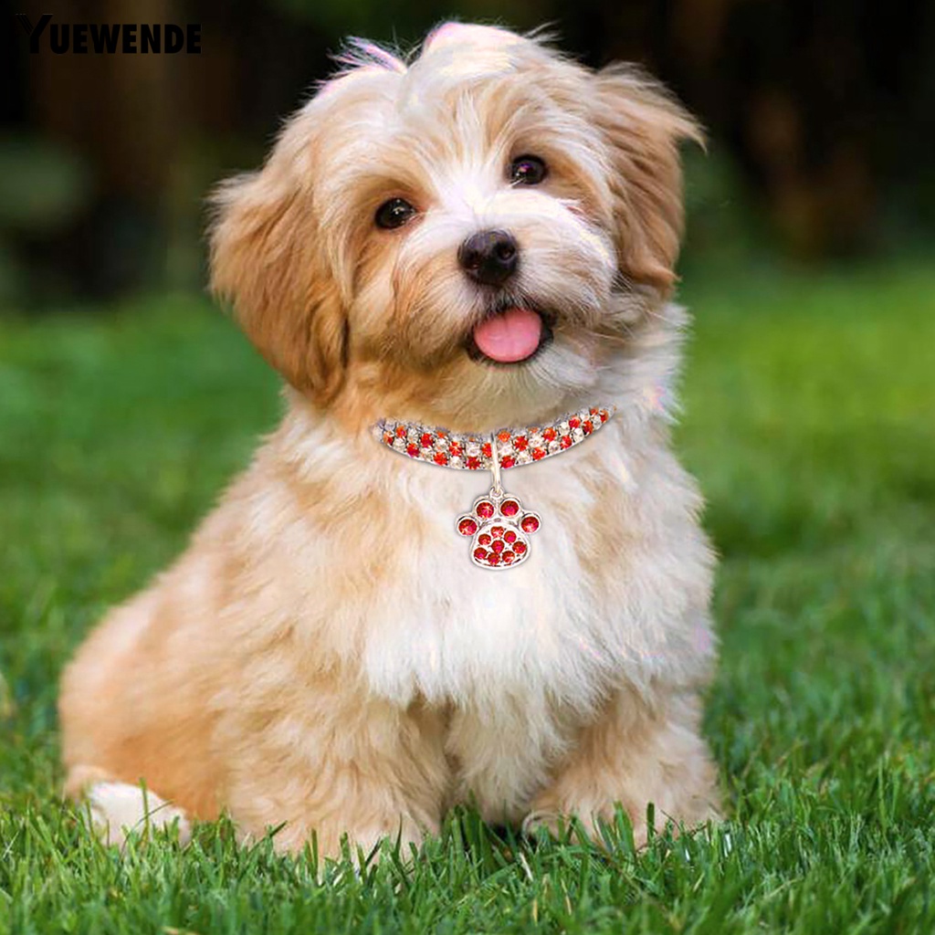 Vòng Cổ Đính Đá Bắt Mắt Thú Cưng YQ.E