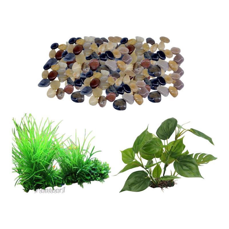 1 Cây Cảnh Ẩn Đường Đi Trang Trí Bể Cá