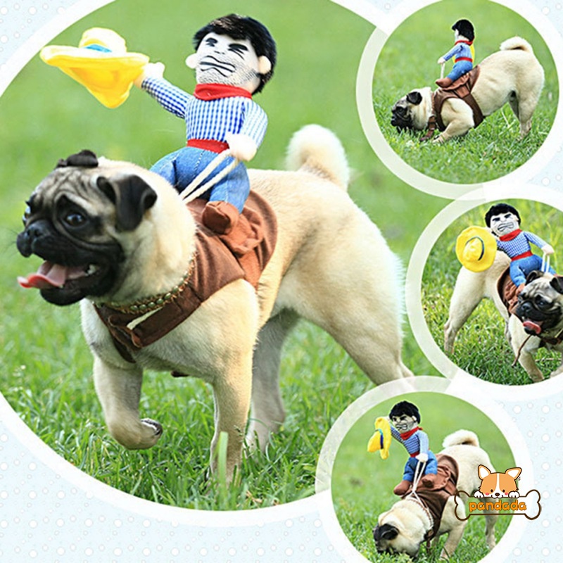 Trang PhụC GiáNg Sinh Cho Thú Cưng