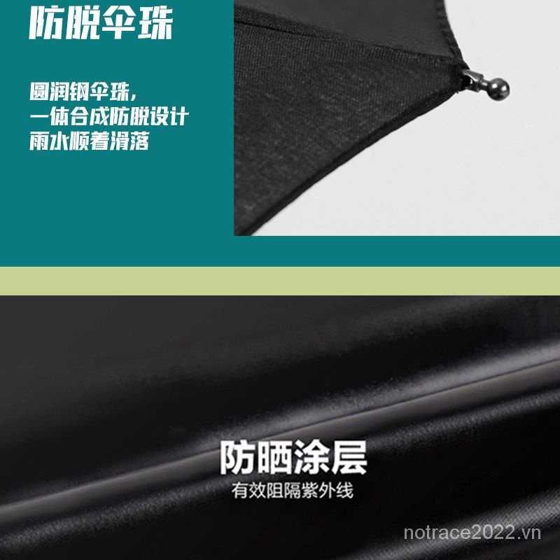 ★Genshin Impact★Dù Che Mưa Nắng Hai Chiều Bằng Vinyl 3-fold Dòng Alhaitham