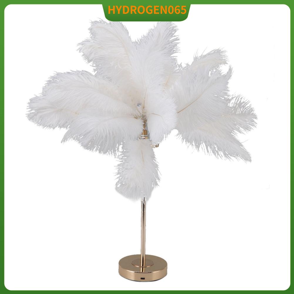 Hydrogen065 Lông Vũ Đèn Bàn Cảm Ứng USB Đà Điểu 3 Màu Mờ Để Vàng Đế Kim Loại 30 chiếc