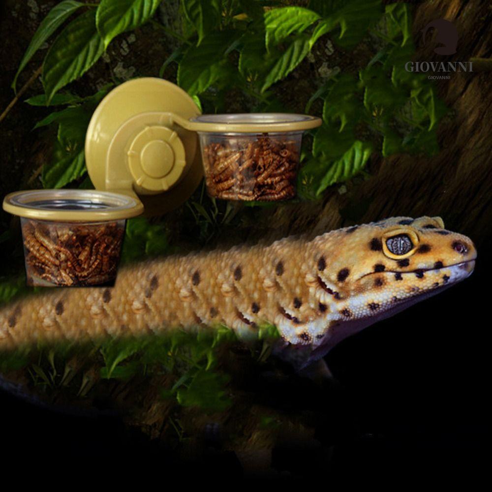 GIOVANNI Hộp Đựng Thức Ăn Hai Ngăn Bằng Nhựa Bền Với Cốc Hút Cho Thú Cưng Bò Sát