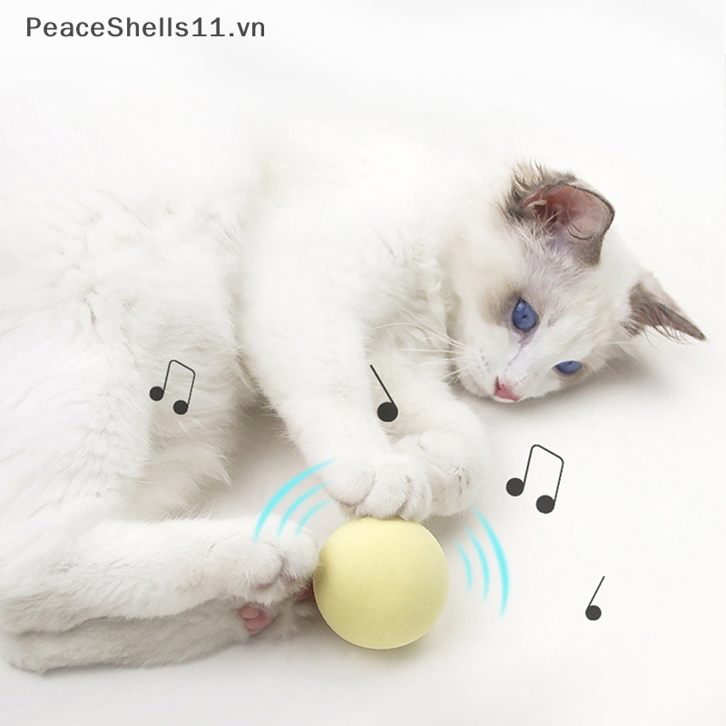 Đồ Chơi Quả Bóng Bạc Hà Khô Thông Minh Huấn Luyện Mèo