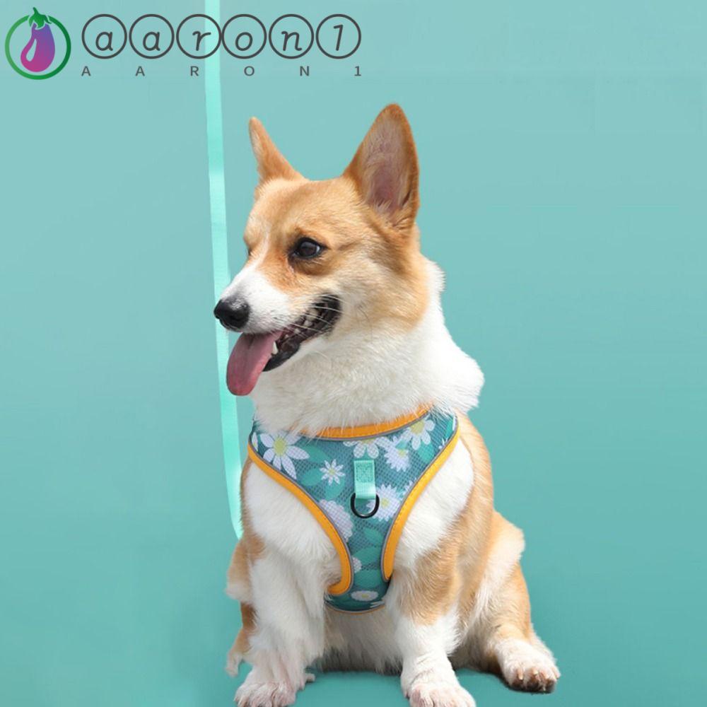 AARON1 Dây Dắt Thú Cưng Đi Dạo Chống Lạc Bằng Vải Lưới Dễ Thương Điều Chỉnh Được 2023