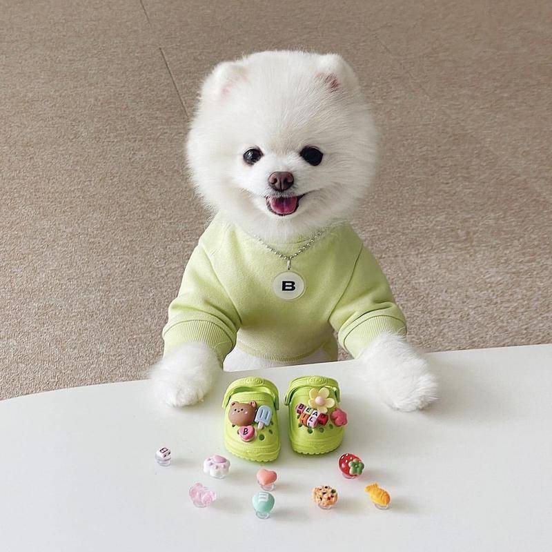 Giày Crocs Thoáng Khí Chống Mài Mòn Thời Trang Đi Biển Cho Thú Cưng