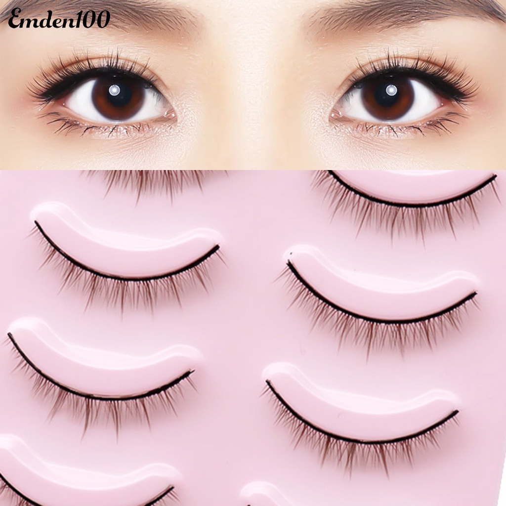 Bộ 5 Cặp Lông Mi Giả 3D Mềm Mại Cho Nữ
