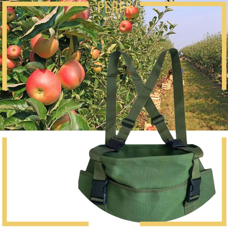 Tạp Dề Nấu Ăn In Hình Cây Trái Cây Dễ Thương