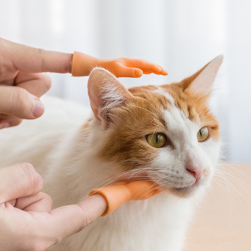 🤹 Đồ Chơi Mô Hình Bàn Tay Mát Sa và Trêu Chọc Chó Mèo