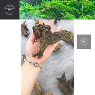Gỗ lũa bé trang trí hồ cá, thuỷ sinh - ghép layout - giao hàng siêu nhanh