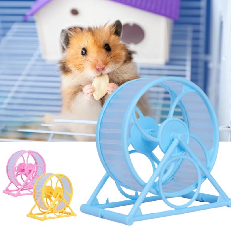 1 Vòng chạy cho hamster cầu vòng- whell chạy cho hamster- bánh chạy cho hamster màu sắc tươi tắngVòng chạy nhựa cho chuột hamster