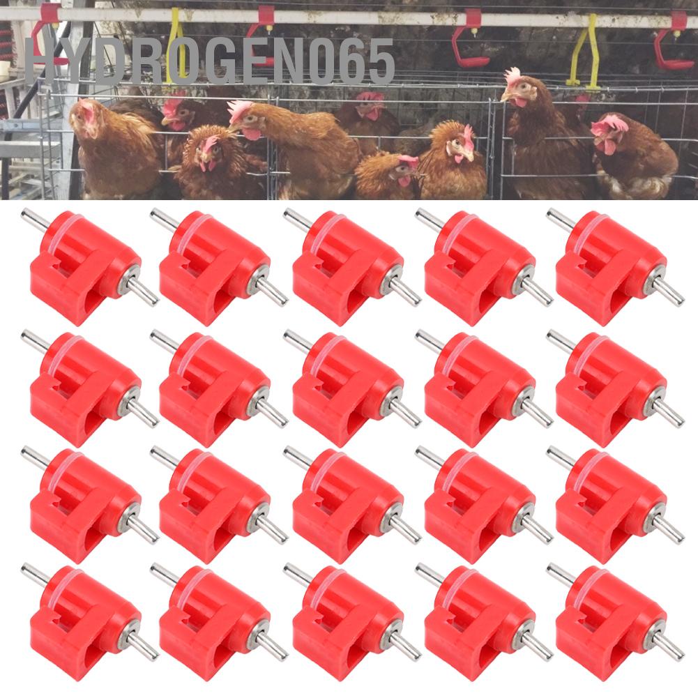 Hydrogen065 20 Con Gà Nước Núm Vú Uống Ăn Tự Động Màu Đỏ Nhựa Gia Cầm Trang Trại Vật Tiếp Liệu