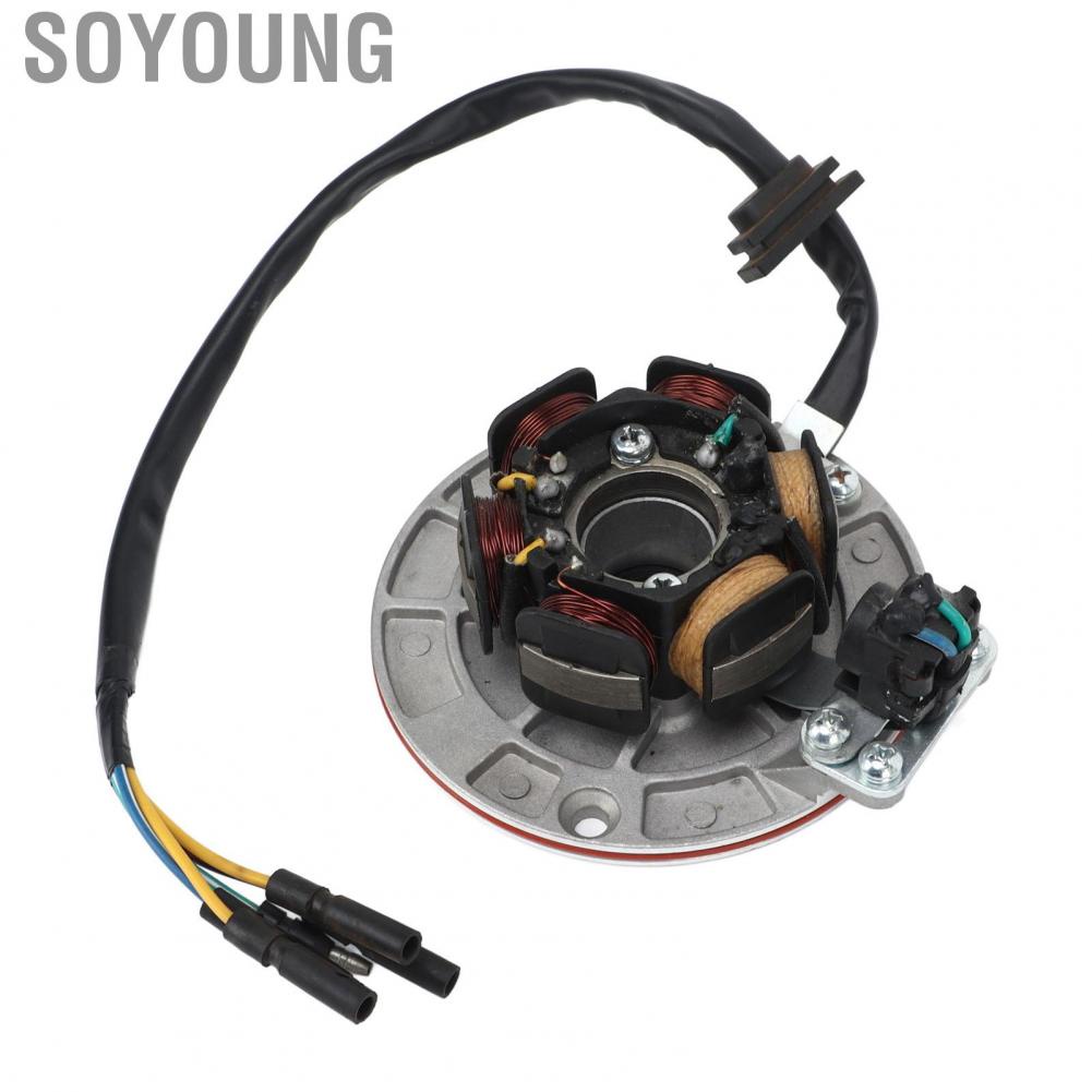 Soyoung Magneto Stator Coil  5 Wire Powerful for 150cc 160cc Kick Start Engine