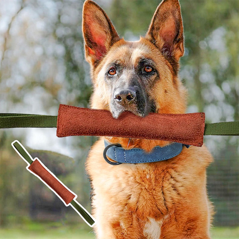 HamshMoc Đồ Chơi Ngậm Cắn Siêu Bền Có Tay Cầm Dành Cho Chó Vừa Và Lớn