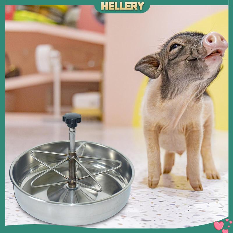 Dụng Cụ Cho Heo Ăn Tiện Dụng Chất Lượng Cao