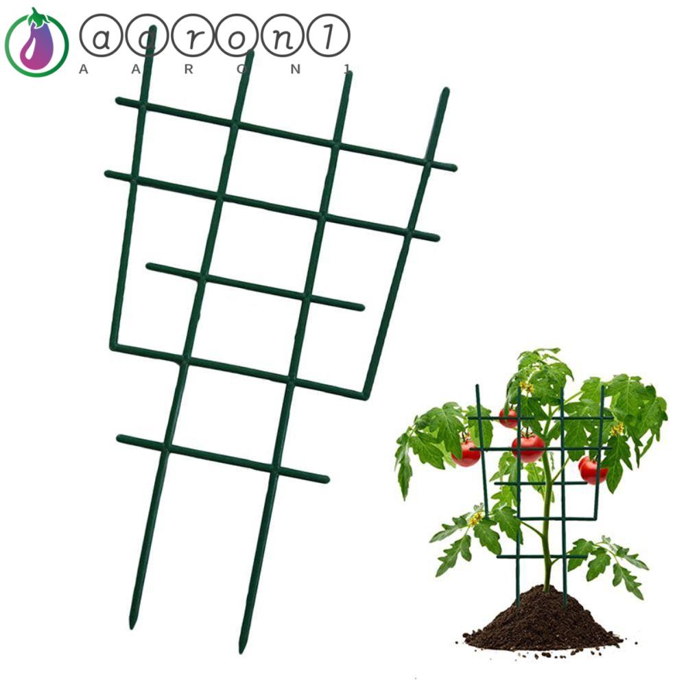 Aaron1 Giá Đỡ Hỗ Trợ Trồng Cây Trong Vườn Đa Năng