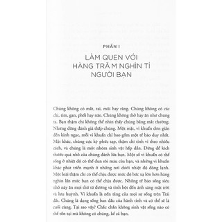 Sách - Ăn Gì Bổ Não ( tái bản )