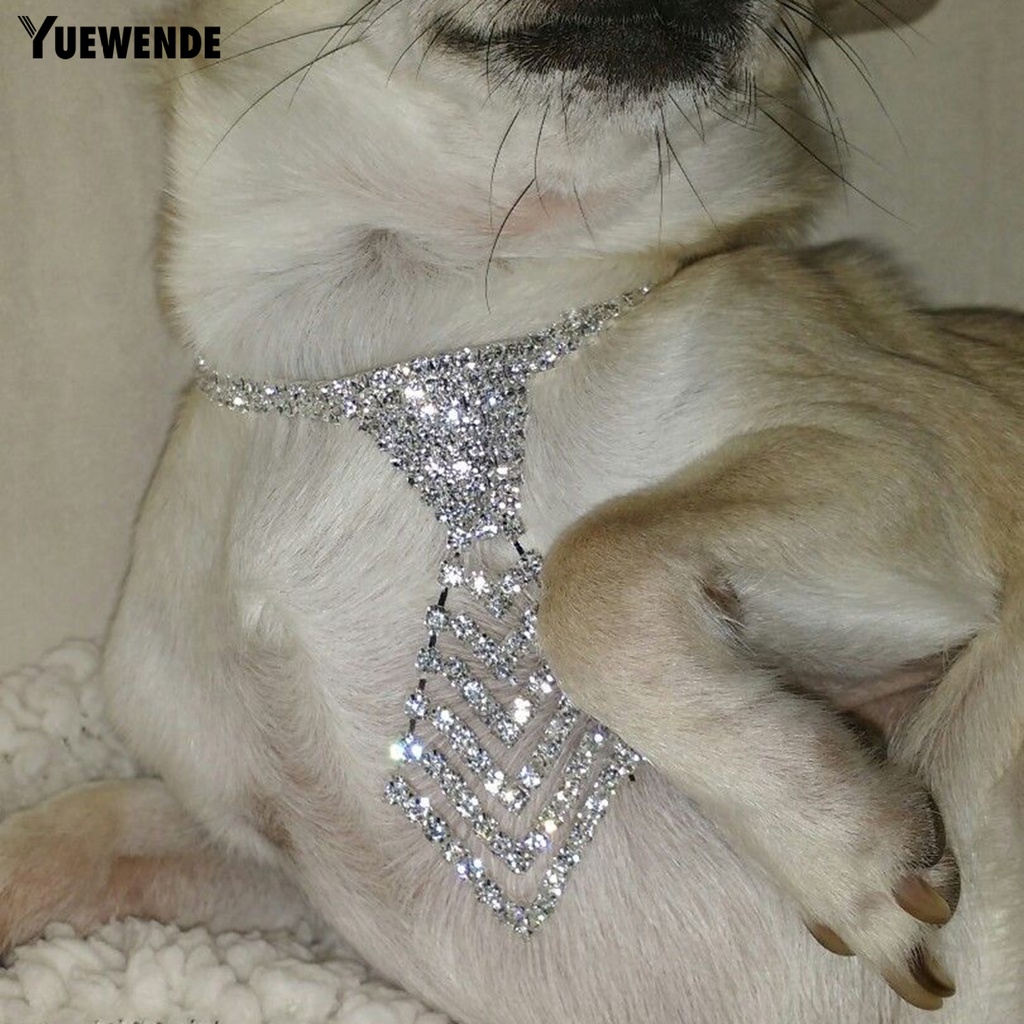 Vòng Cổ Bắt Mắt Màu Sắc Lấp Lánh Tùy Chỉnh Tiện Dụng Cho Thú Cưng