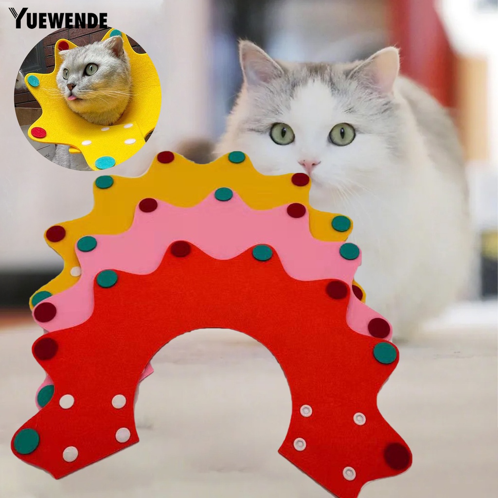 Yq.e Vòng Cổ Bảo Vệ Chống Cắn Có Thể Điều Chỉnh Hình Hoa Dành Cho Mèo Cưng