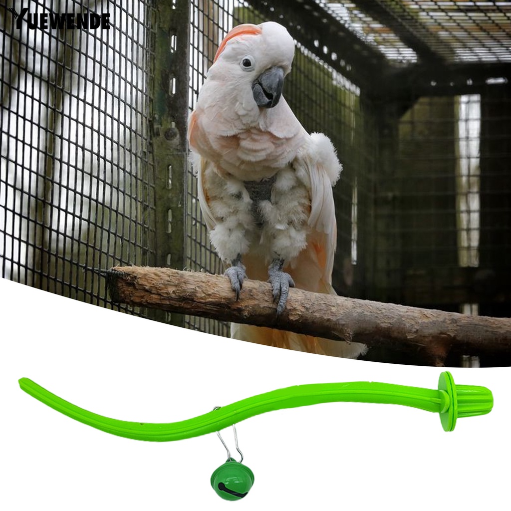 Dụng Cụ Mài Móng Chân Đứng Dành Cho Chim Vẹt