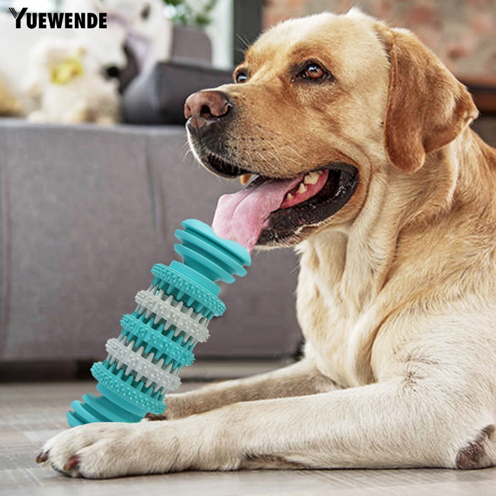 Đồ Chơi Nhai Gặm Bằng Cao Su Tự Nhiên Chống Cắn Lâu Trôi Cho Thú Cưng