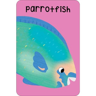 Sách Sea Snap! (Cards)