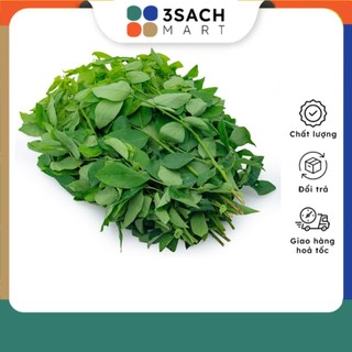 Rau bồ ngót - 300g/gói