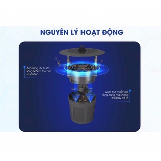 Đèn bắt muỗi Rạng Đông