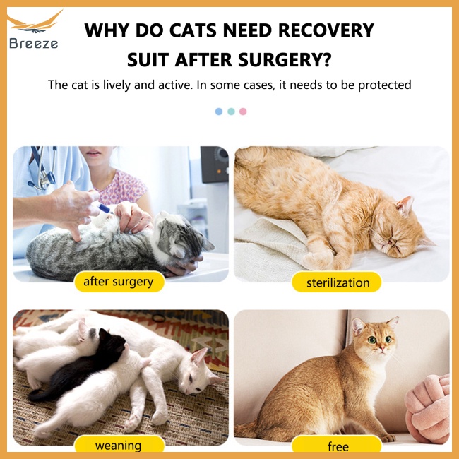 Bộ Áo Liền Quần Mềm Mại Thoáng Khí Chống Nhăn Có Khóa Điều Chỉnh Được Cho Mèo Cưng