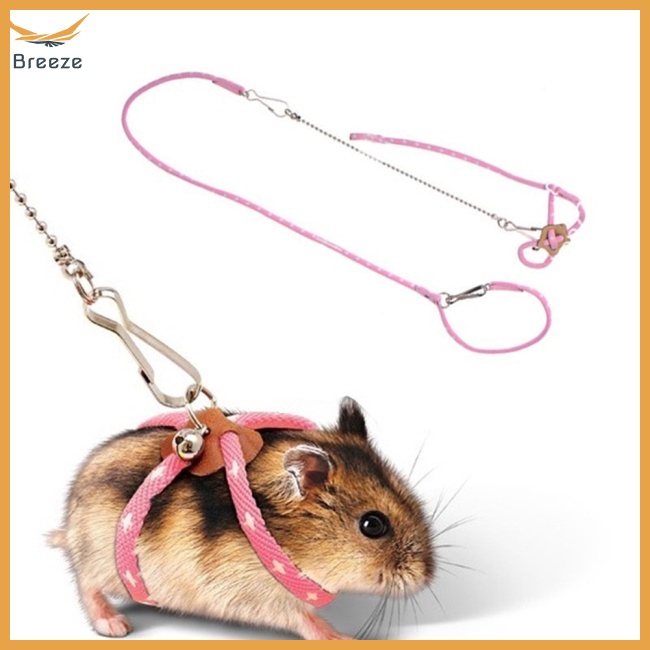 Dây Dắt Thú Cưng Đi Dạo Mềm Mại Chống Cắn Có Thể Điều Chỉnh Và Gắn Chuông Tiện Dụng