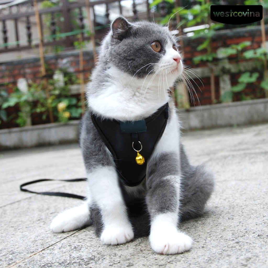 [COD]♞Dây Dắt Thú Cưng Đi Dạo Thiết Kế Thoáng Khí Tiện Dụng