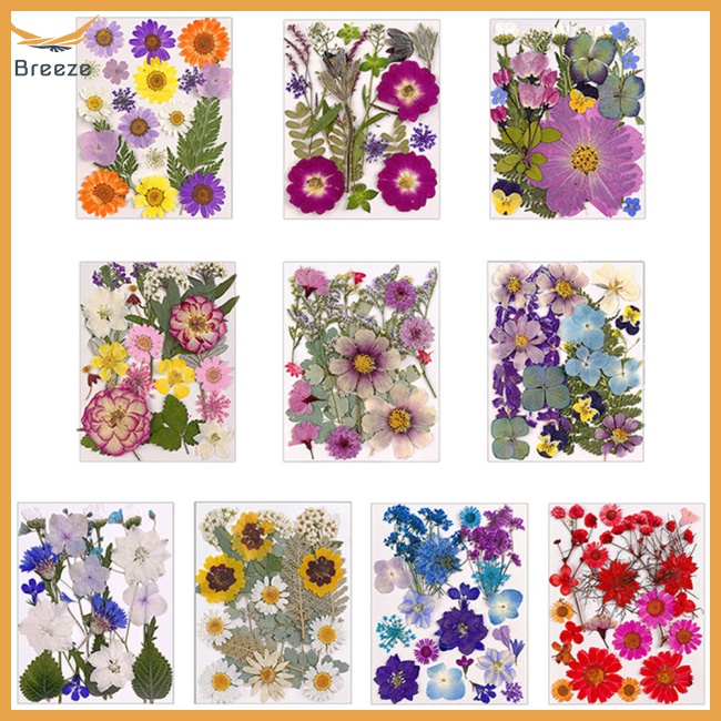 1 Túi Hoa Khô Dùng Trang Trí Điện Thoại / Trang Sức / Móng Tay Nghệ Thuật Diy