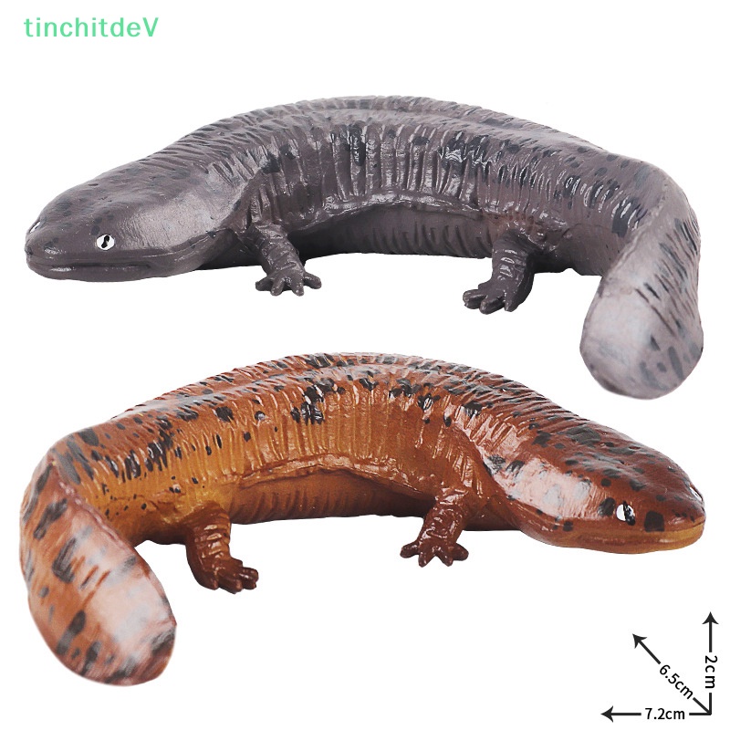[TinchitdeV] Mô Hình Amphibian Khổng Lồ Mô Phỏng Cho Trẻ Em Nhận Thức [Mới]