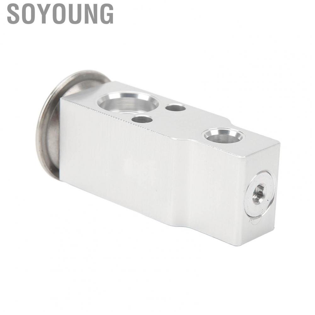 Soyoung 5139280AA  Rear AC Expansion Valve High Cooling Efficiency Rust Resistant Durable Aluminum for SUVs