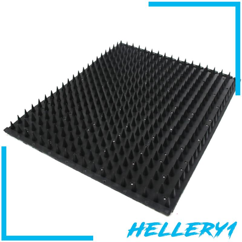 Bàn Chải Massage Đa Năng 16.54 ''