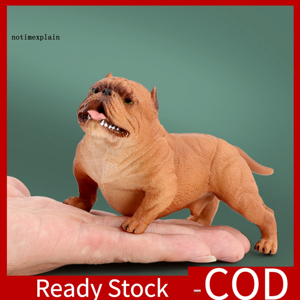 Mô Hình Chó Pitbull Mini Dùng Để Trang Trí